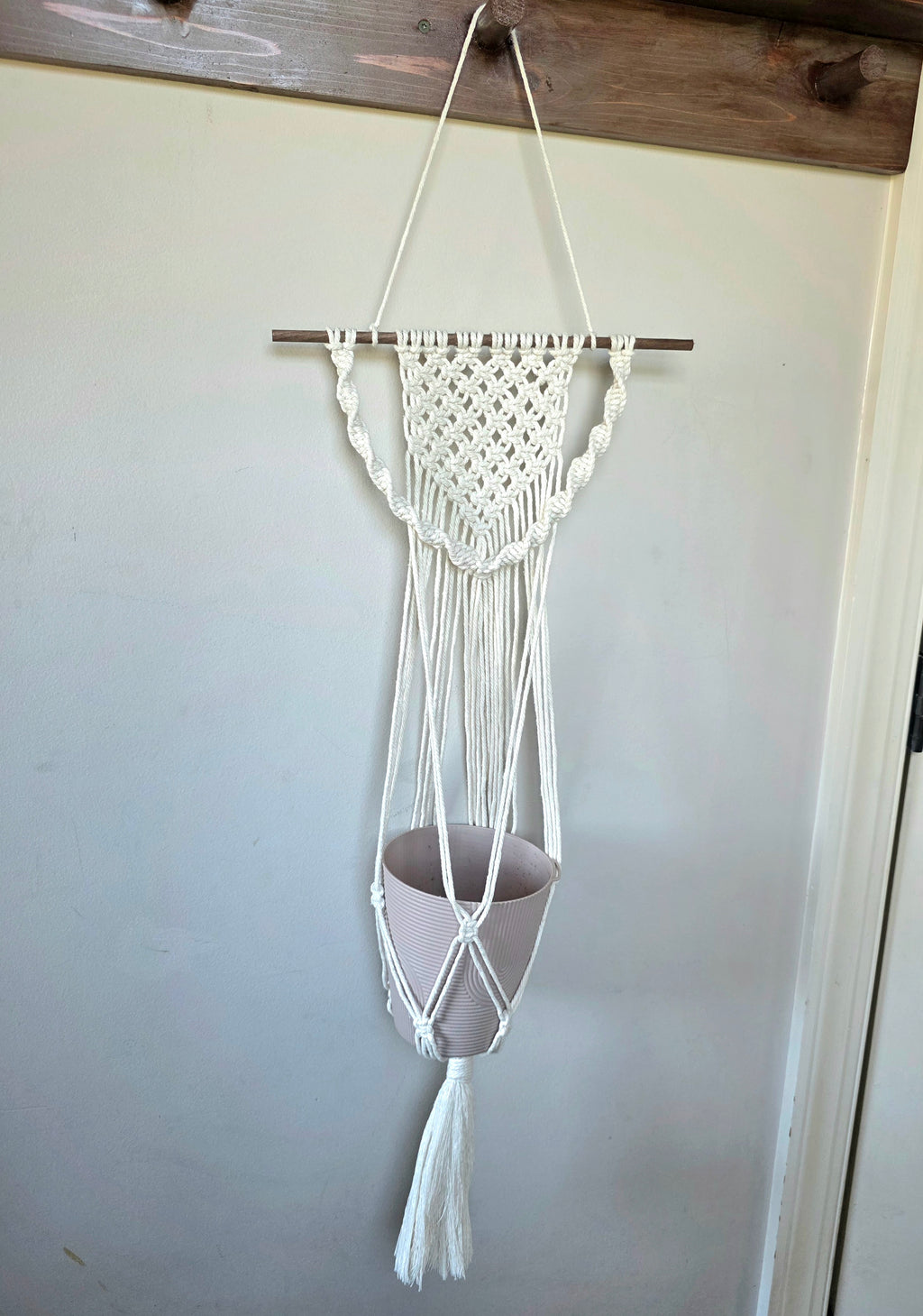 Wall-Mounted Plant Hanger