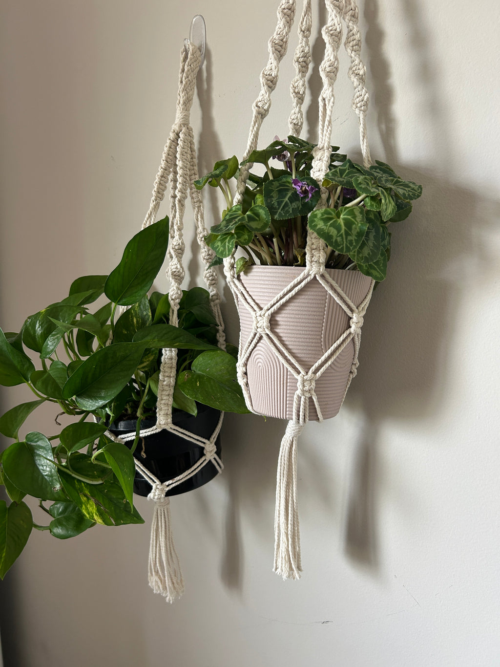 Macrame Plant Hanger