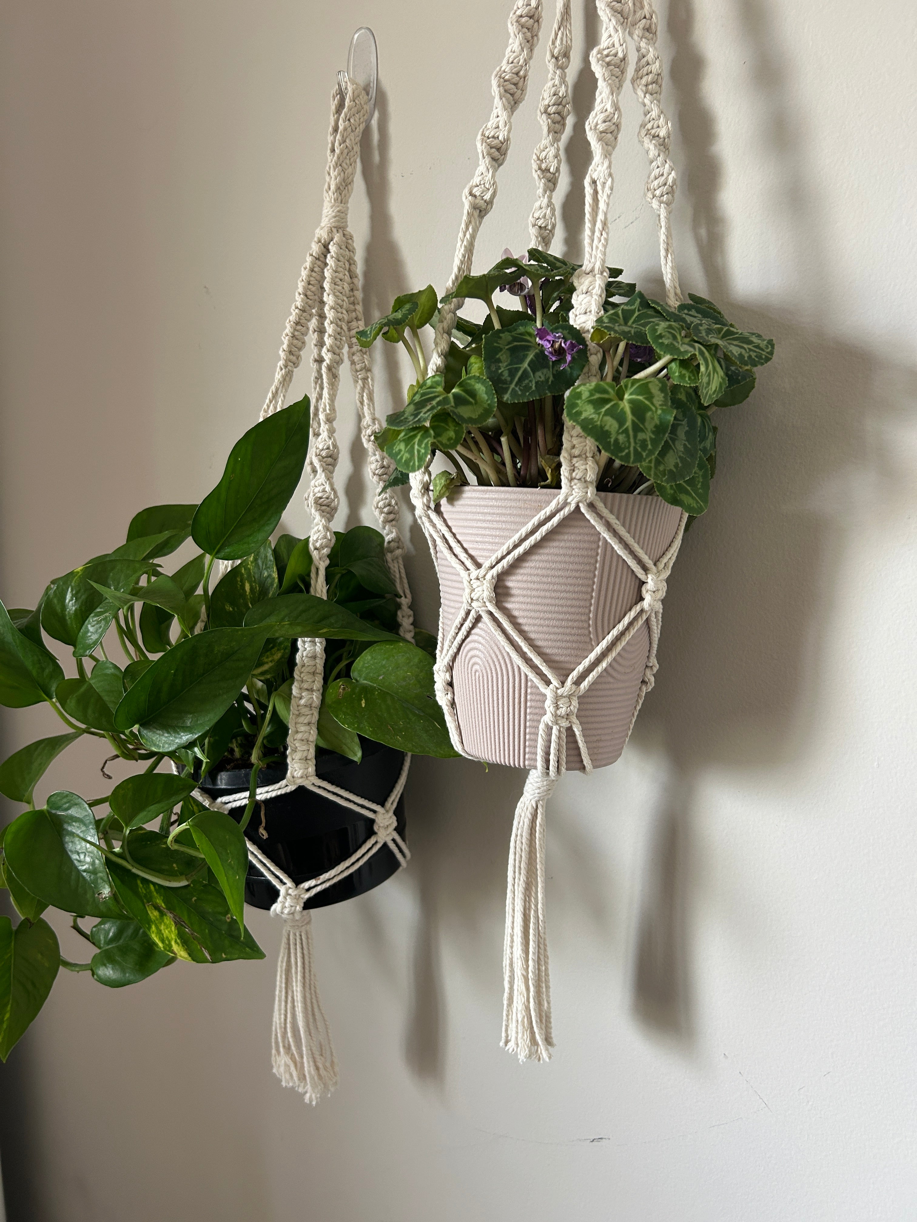 Macrame Plant Hanger