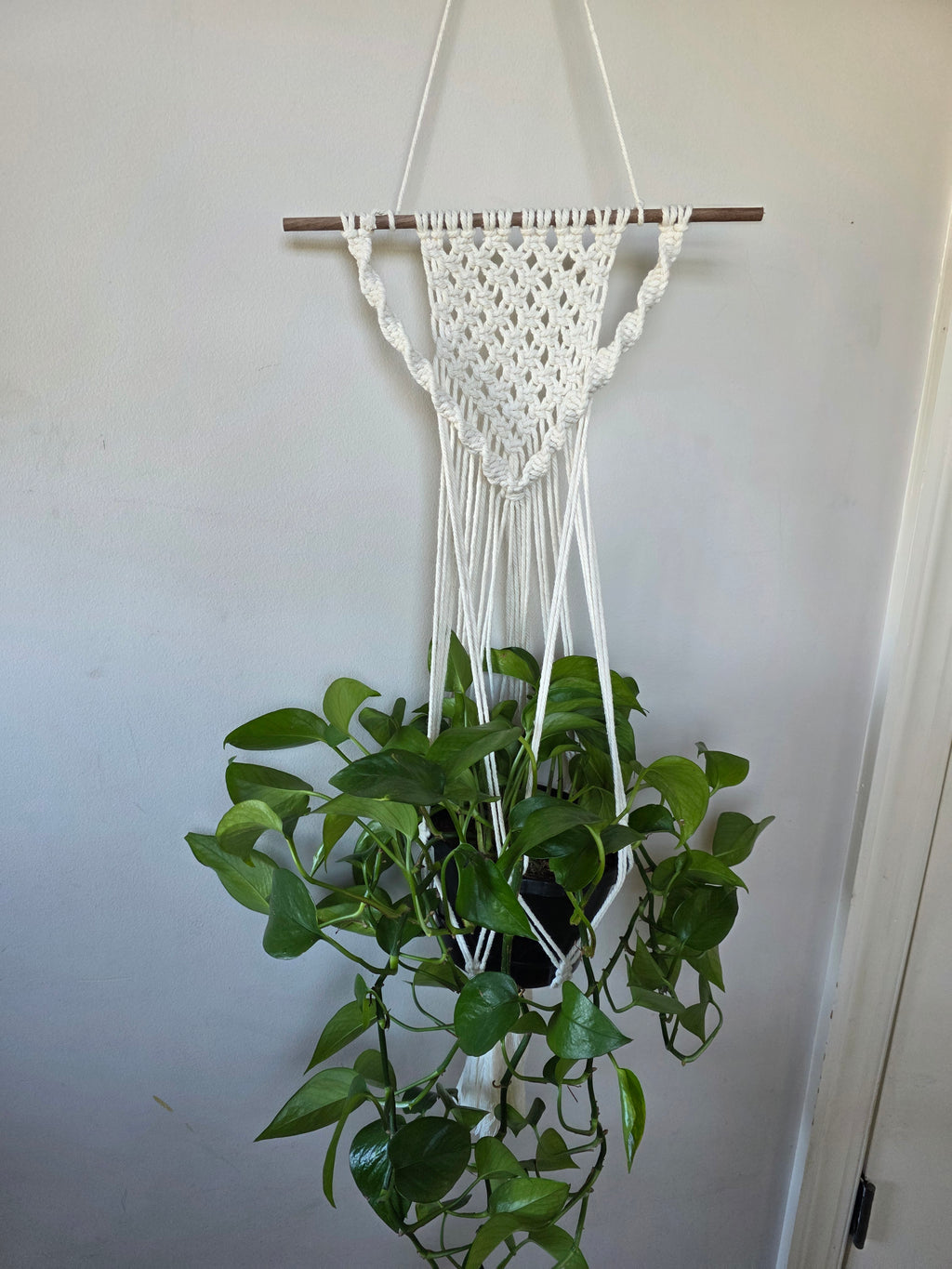 Wall-Mounted Plant Hanger
