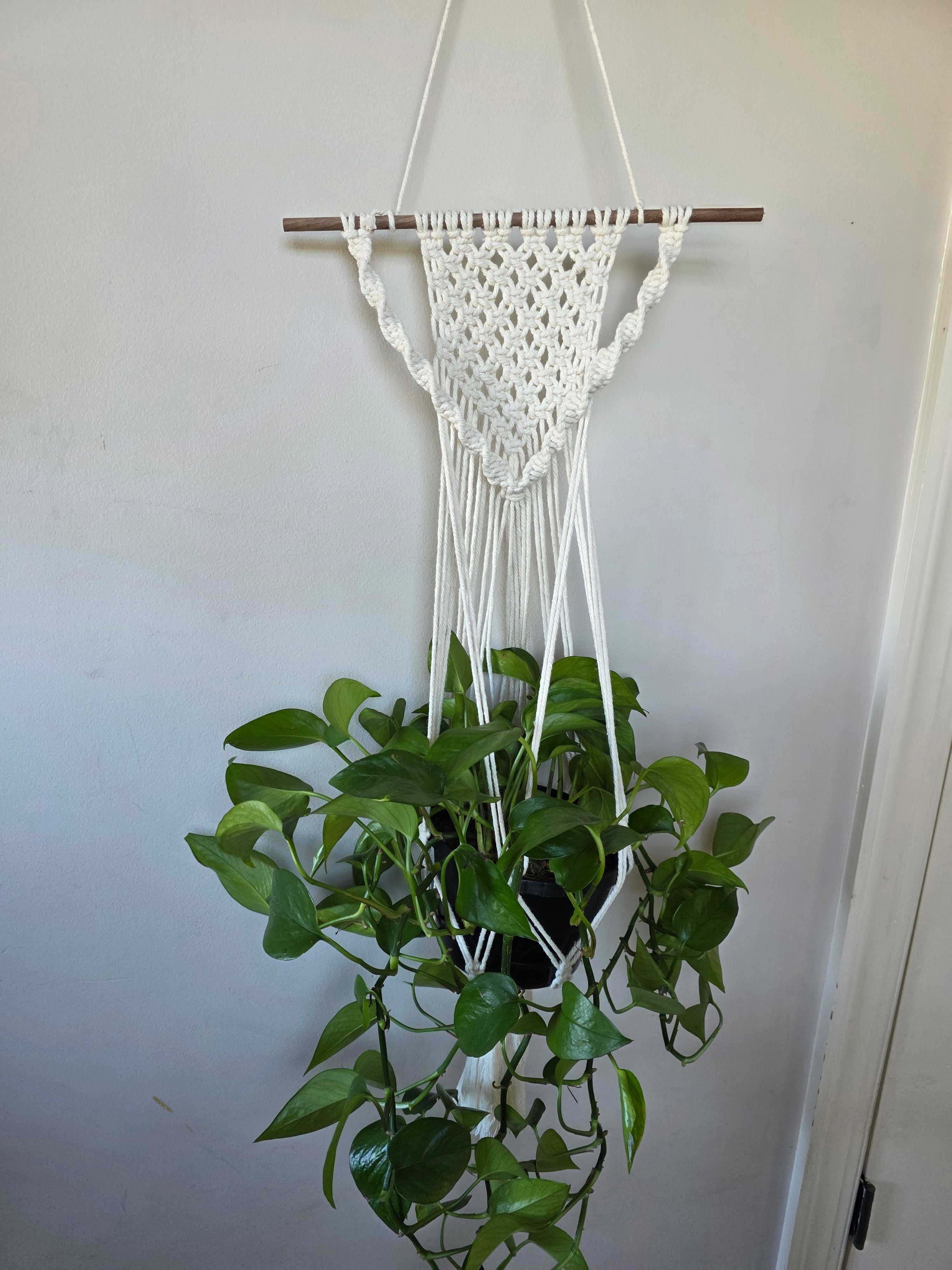 Wall-Mounted Plant Hanger