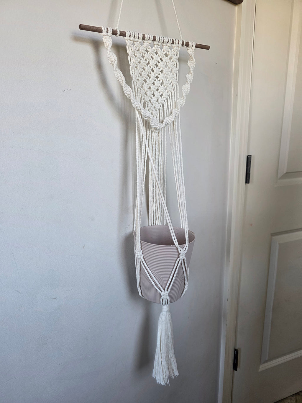 Wall-Mounted Plant Hanger