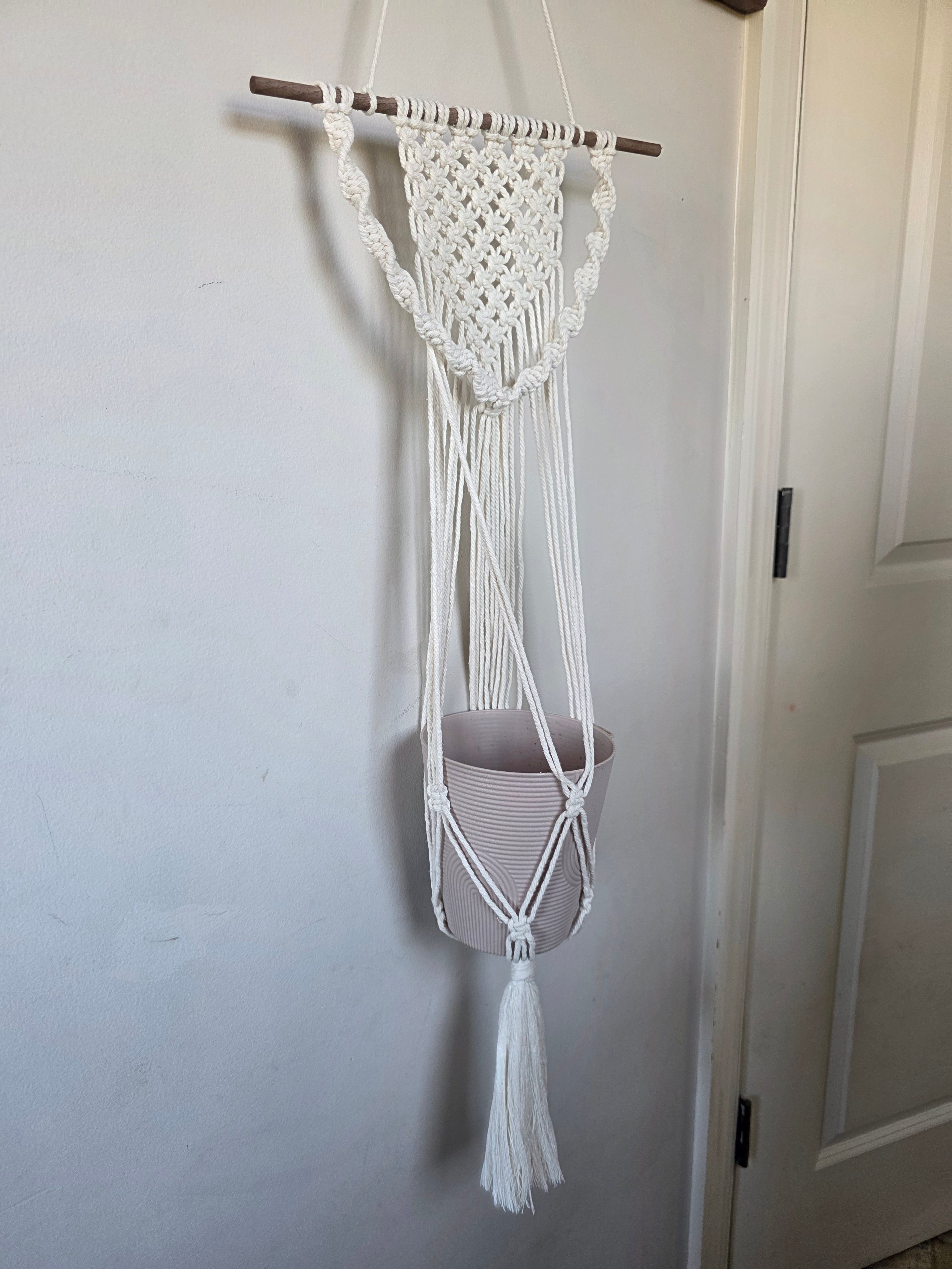 Wall-Mounted Plant Hanger