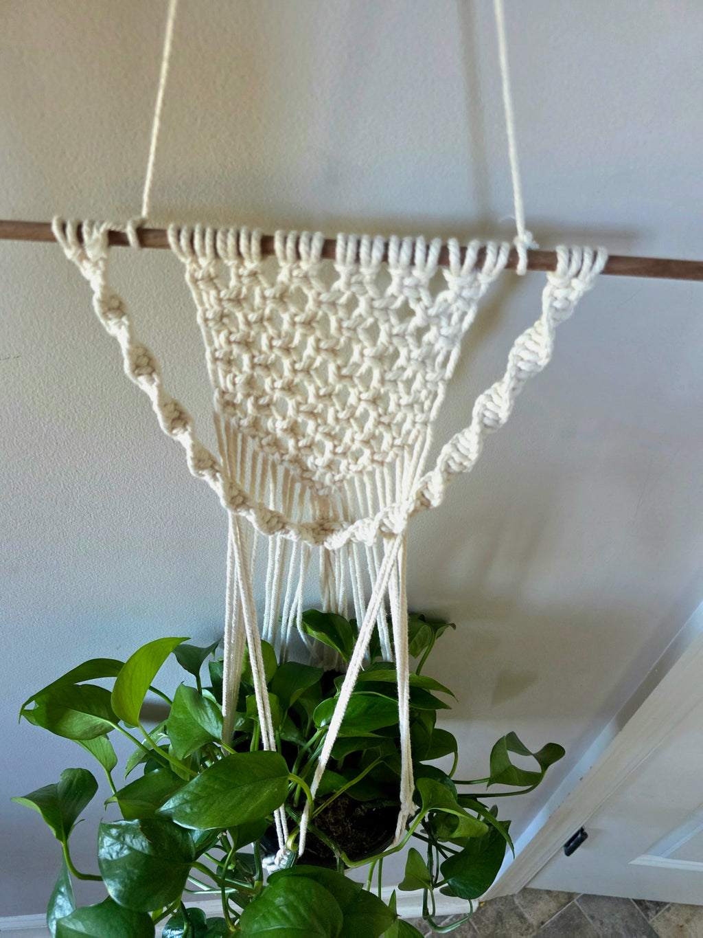 Wall-Mounted Plant Hanger