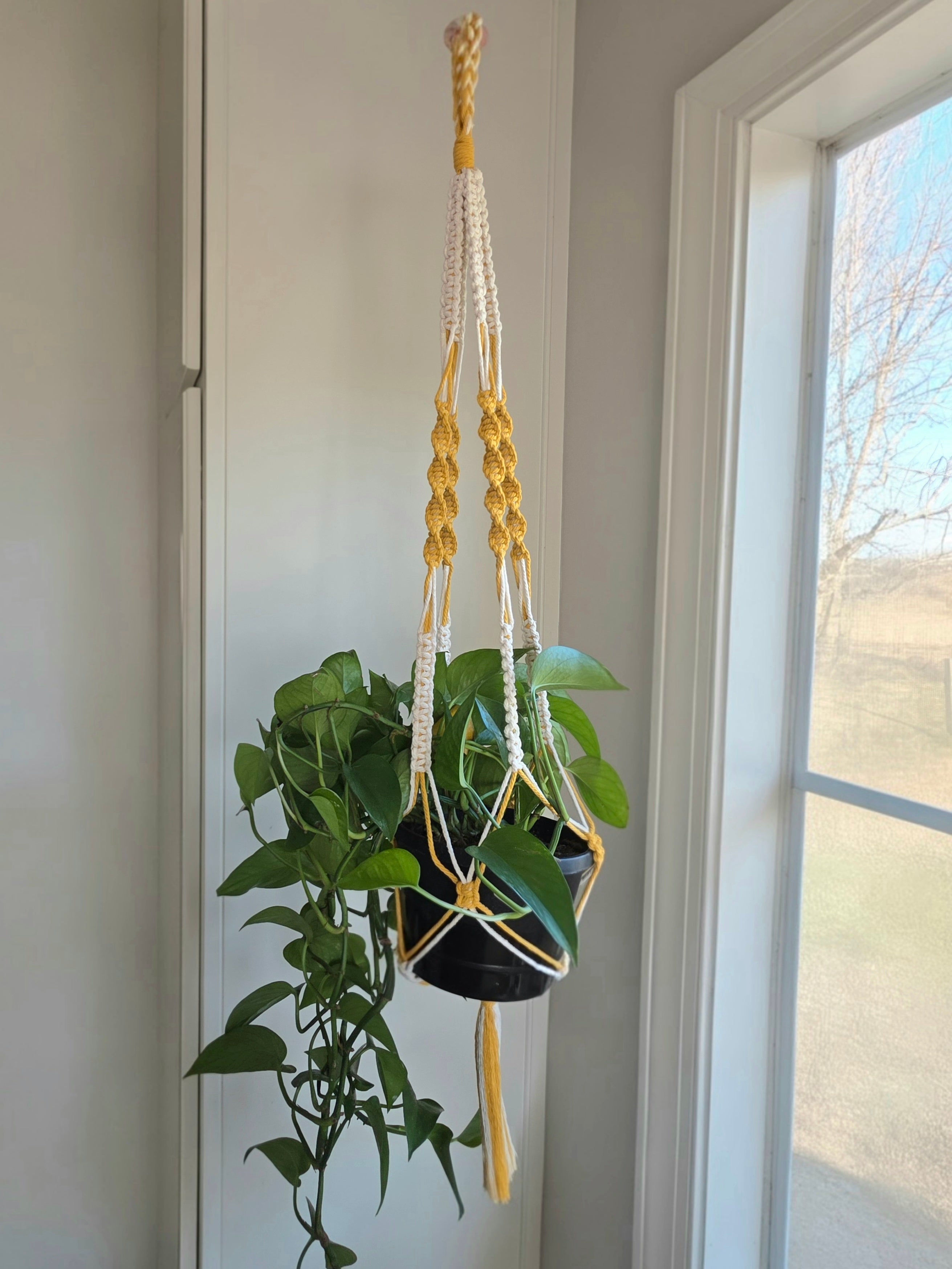 Macrame Plant Hanger